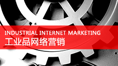 中国工业品网络营销现状